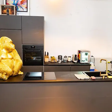 Modernes Altstadt Loft كلاغنفورت